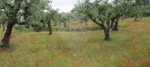 Casa T1 em Castelo Branco, Portugal N.º 73904 20