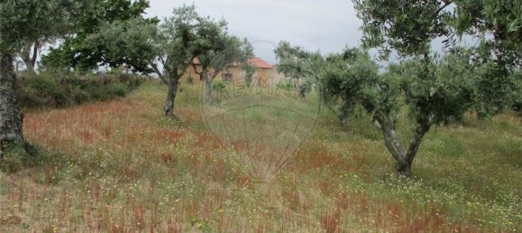 Casa T1 em Castelo Branco, Portugal N.º 73904 31