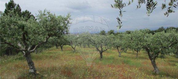 Casa T1 em Castelo Branco, Portugal N.º 73904 17