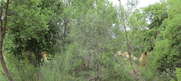 Casa T1 em Castelo Branco, Portugal N.º 73904 24