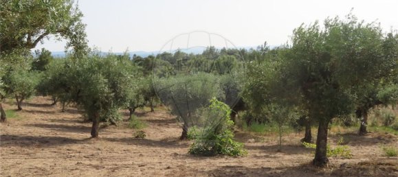 Casa T1 em Castelo Branco, Portugal N.º 73904 44