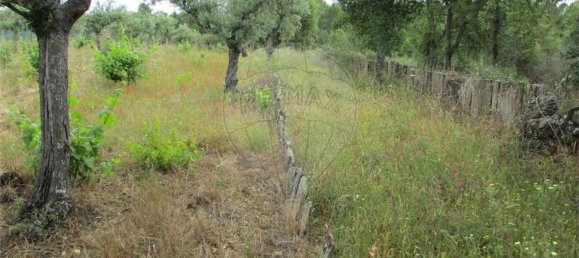 Casa T1 em Castelo Branco, Portugal N.º 73904 30