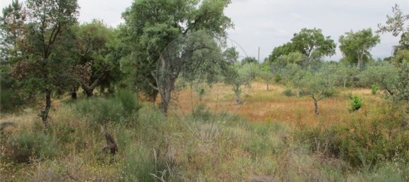 Casa T1 em Castelo Branco, Portugal N.º 73904 26