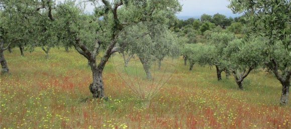 Casa T1 em Castelo Branco, Portugal N.º 73904 10