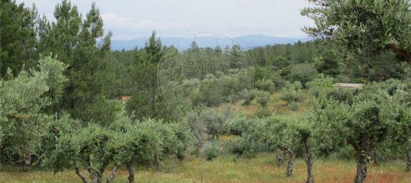 Casa T1 em Castelo Branco, Portugal N.º 73904 13