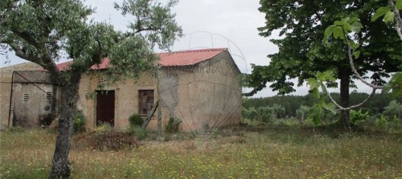 Casa T1 em Castelo Branco, Portugal N.º 73904 5
