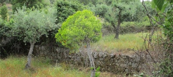 Casa T1 em Castelo Branco, Portugal N.º 73904 14