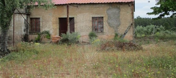 Casa T1 em Castelo Branco, Portugal N.º 73904 4
