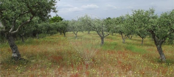 Casa T1 em Castelo Branco, Portugal N.º 73904 18