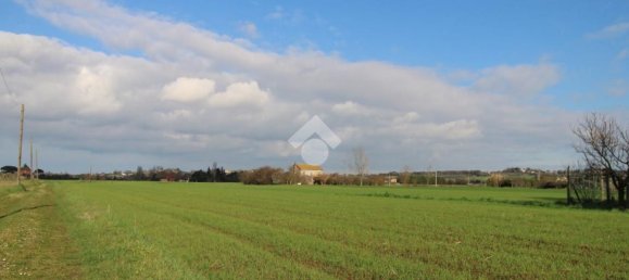 Студия в Римини, Италия № 120081 3