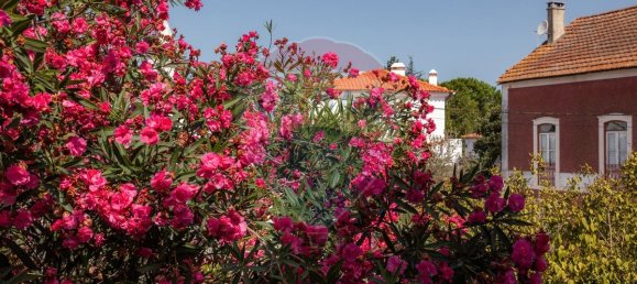 9 bedrooms House in Leiria, Portugal No. 184412 31