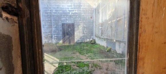 4-salle Maison à Aradeo, Italy No. 238070 16