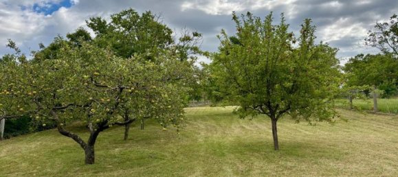 4-salle Maison à Hohenruppersdorf, Austria No. 199310 23