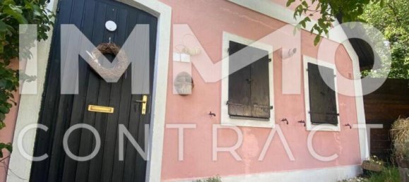 Casa de 2 dormitorios en Weiden am See, Austria No. 236560 7