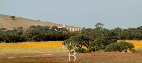 7 bedrooms House in Sines, Portugal No. 142360 10