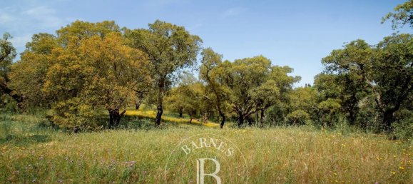 7 bedrooms House in Sines, Portugal No. 142360 31