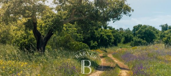 7 bedrooms House in Sines, Portugal No. 142360 32