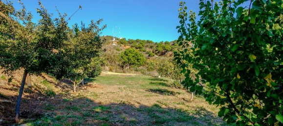 6 bedrooms House in Estepona, Spain No. 102928 26