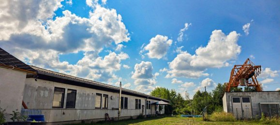 463m² Warehouse in Wittenberg, Germany No. 244633 7