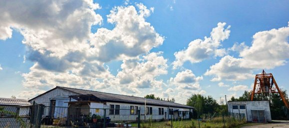 463m² Warehouse in Wittenberg, Germany No. 244633 5