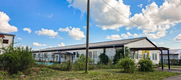 463m² Warehouse in Wittenberg, Germany No. 244633 3