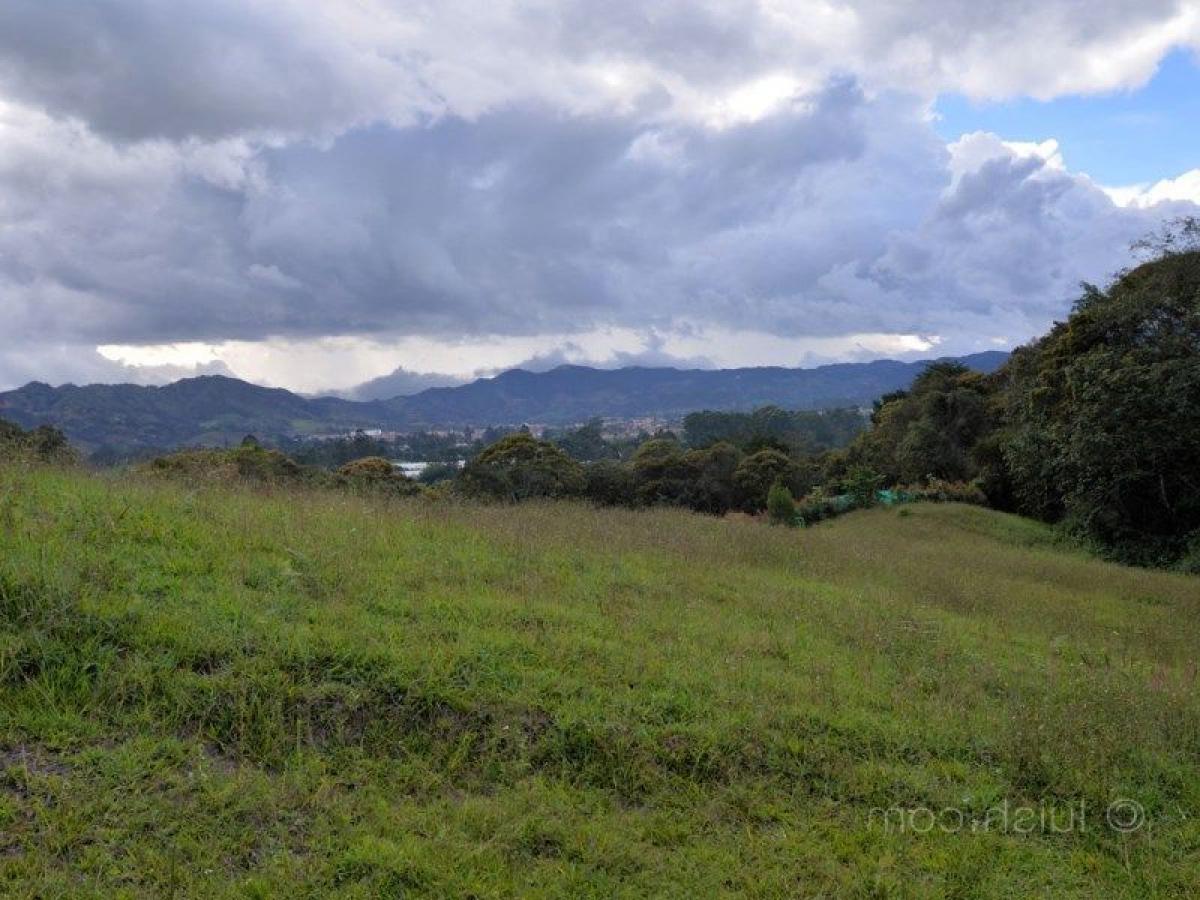  Land in Antioquia, Colombia No. 396