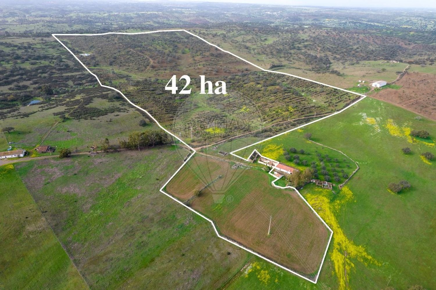 1 bedroom Castles in Almodovar, Portugal No. 60699