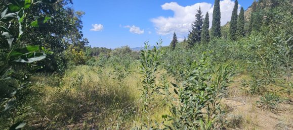 Дом с 5 спальнями в Михас, Испания № 147271 25