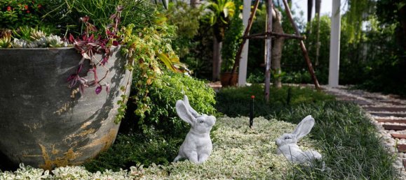 5 bedrooms House in Chiang Mai, Thailand No. 26964 27