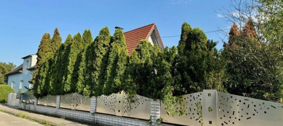 5 rooms Villa in Wels, Austria No. 23900 25