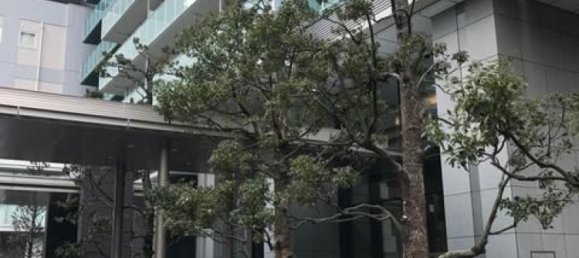 Студия в Хёго, Япония № 5649 2