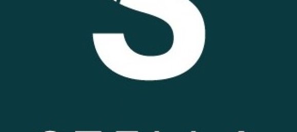 Gewerbliche Immobilie in Mortagua, Portugal 105m², Nr. 214851 17