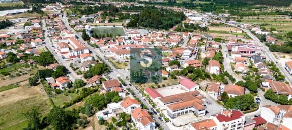 Gewerbliche Immobilie in Mortagua, Portugal 105m², Nr. 214851 16