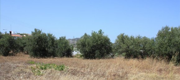 540m² Hotel in Chania, Greece No. 5568 3