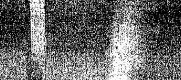 7 rooms Apartment in Menfi, Italy No. 225682 11