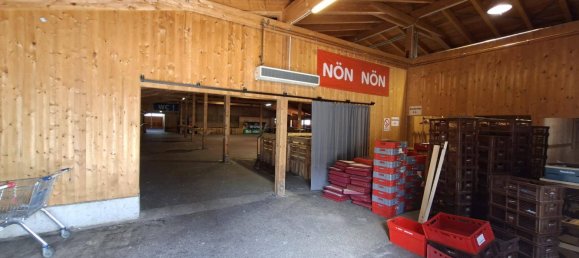 Propriété commerciale à Traisen, Austria 980m² No. 211330 6