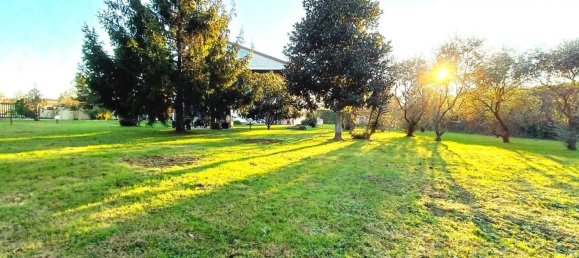 7 rooms Villa in Montignoso, Italy No. 130265 6