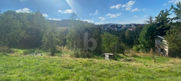 Terreno en Ilm-Kreis, Germany No. 50567 3