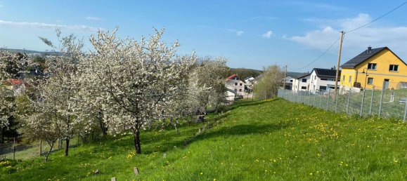 Terreno en Ilm-Kreis, Germany No. 50567 2