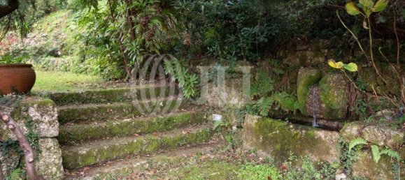 5 غرف نوم منزل في Vieira do Minho, Portugal رقم 36795 39