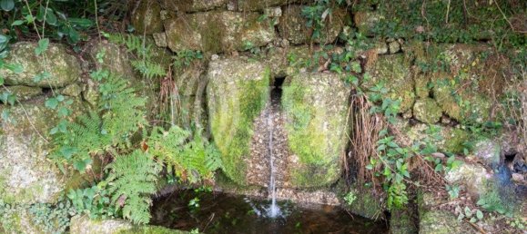 5 غرف نوم منزل في Vieira do Minho, Portugal رقم 36795 40