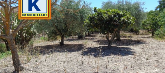 2غرفة منزل في San Cataldo, Italy رقم 269446 23