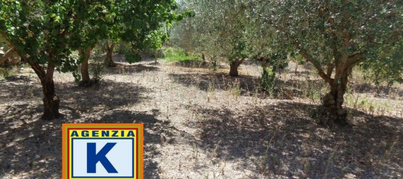 2غرفة منزل في San Cataldo, Italy رقم 269446 24