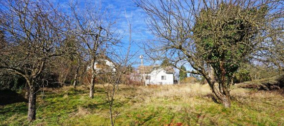 Terrain à Mauerbach, Austria No. 37792 3