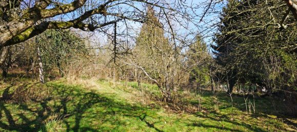 Terrain à Mauerbach, Austria No. 37792 4