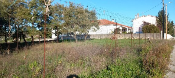 600m² Land in Avelar, Portugal No. 84696 3