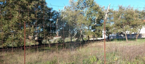 600m² Land in Avelar, Portugal No. 84696 2