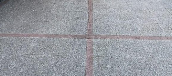 Gewerbliche Immobilie in Peguera, Spain 70m², Nr. 14130 3