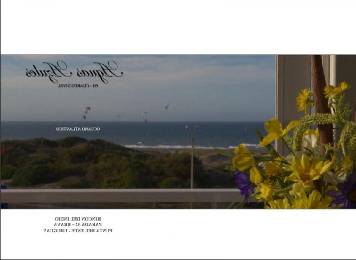 4 bedrooms House in Maldonado, Uruguay No. 3108