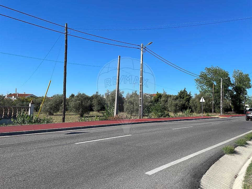 4480m² Land in Riachos, Portugal No. 300204